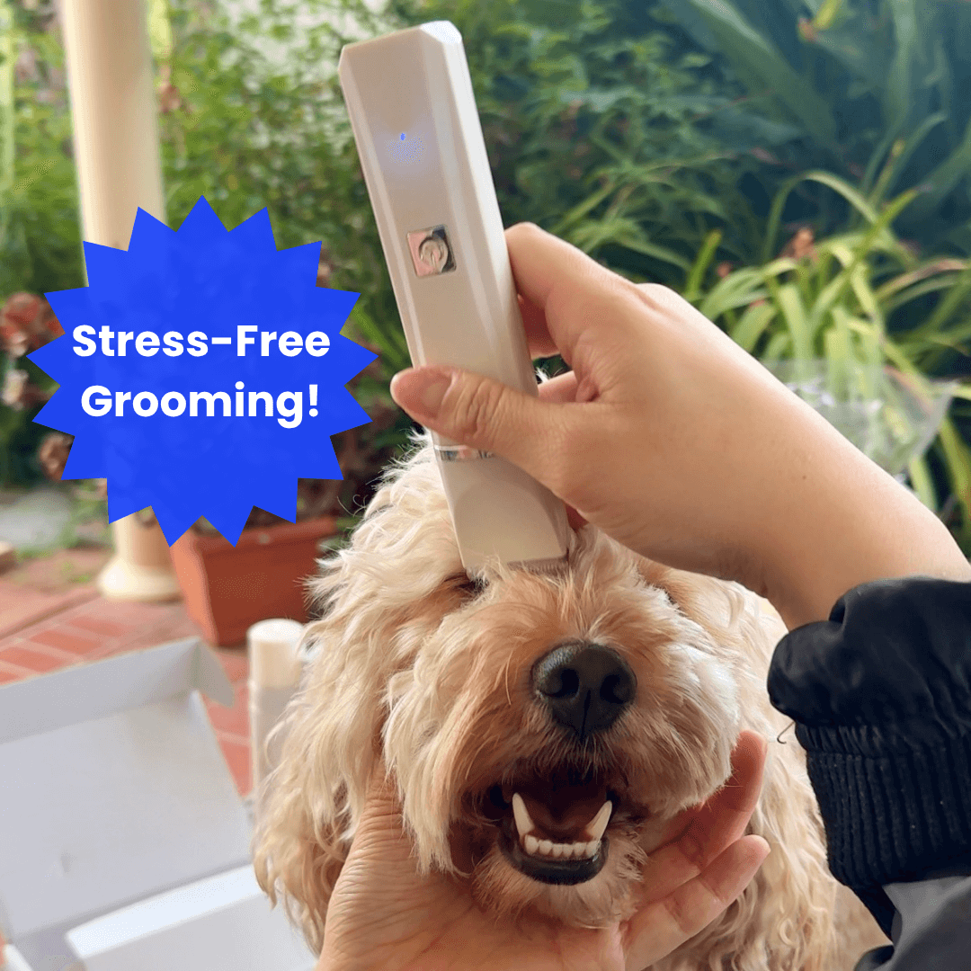 PamperPet™ GroomEase System