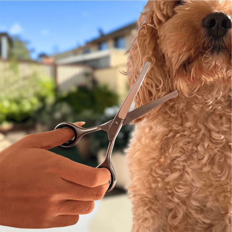 PamperPet™ Trim & Shape Kit