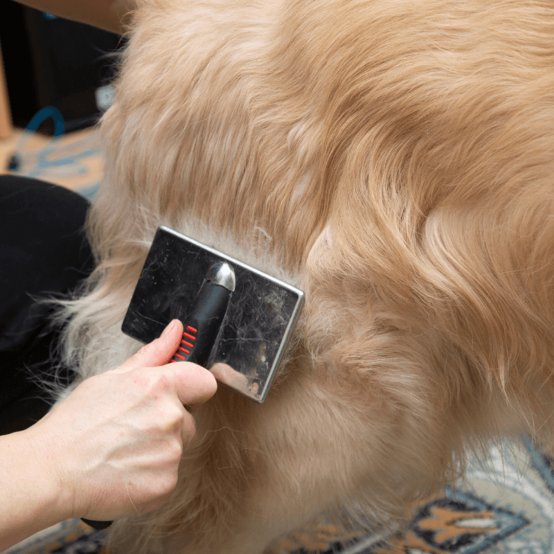 PamperPet™ Complete Grooming Kit