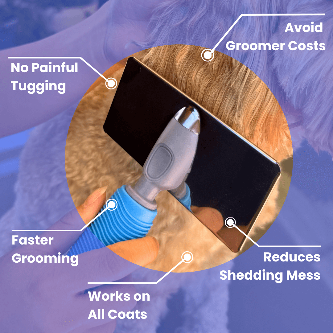 PamperPet™ PreGroom Detangler