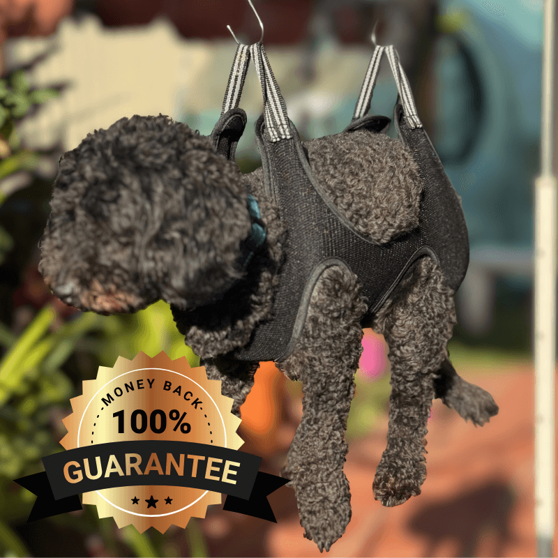 PamperPet™ Grooming Comfort Hammock