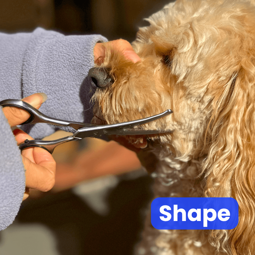 PamperPet™ Pro Grooming Kit
