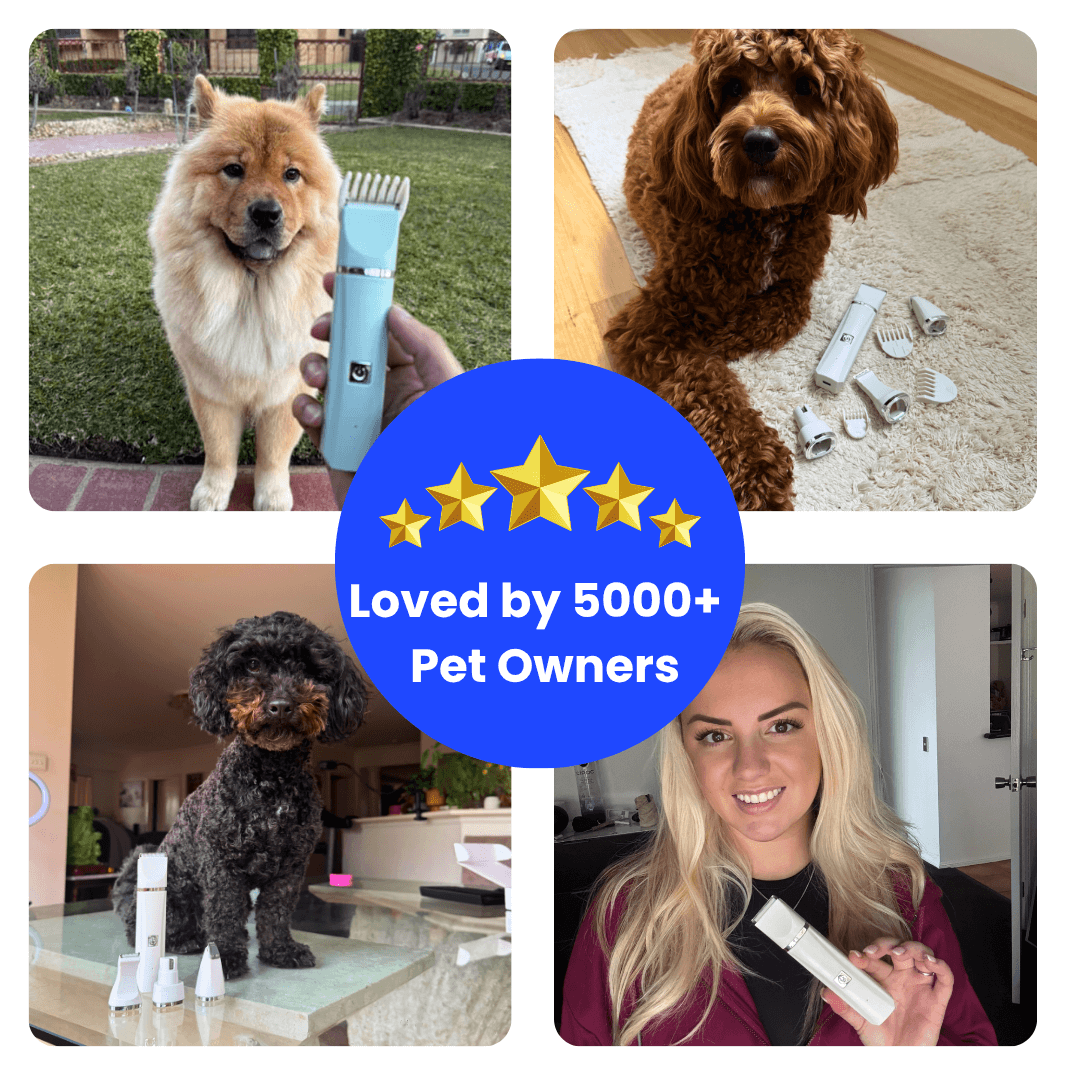 PamperPet™ GroomEase System