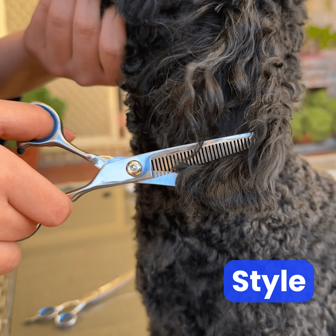 PamperPet™ Pro Grooming Kit