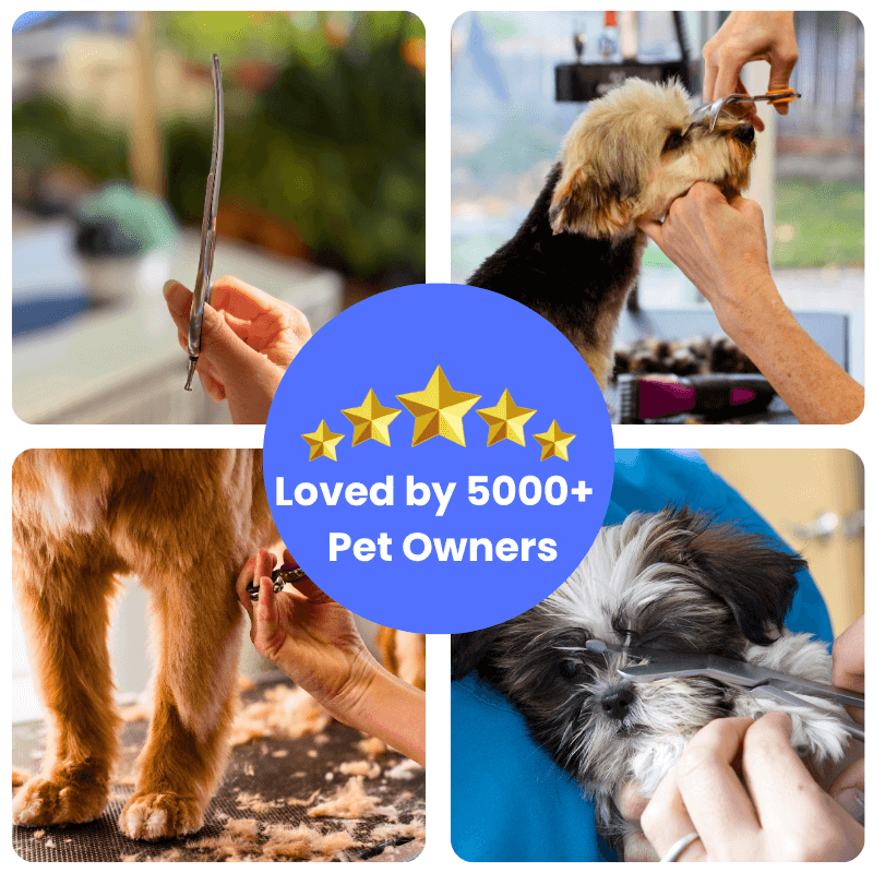 PamperPet™ SafeTrim Scissors