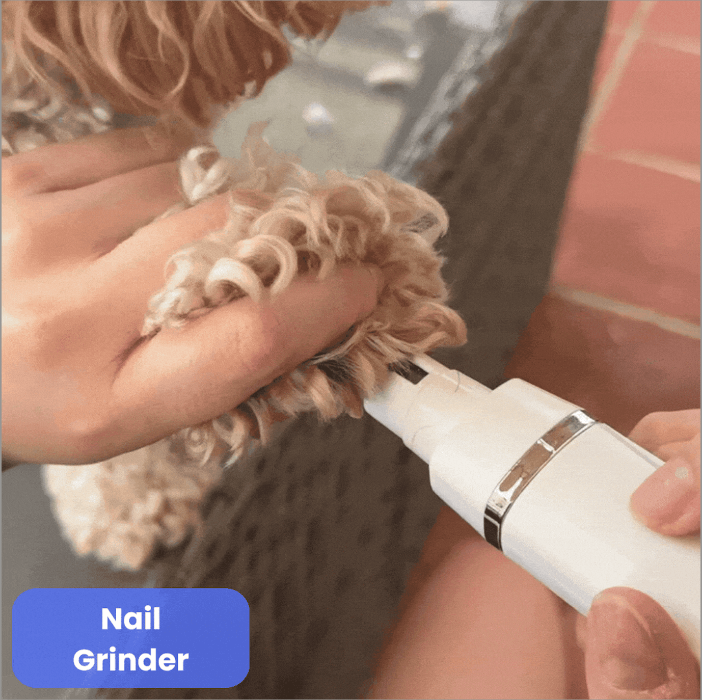 PamperPet™ GroomEase Blades