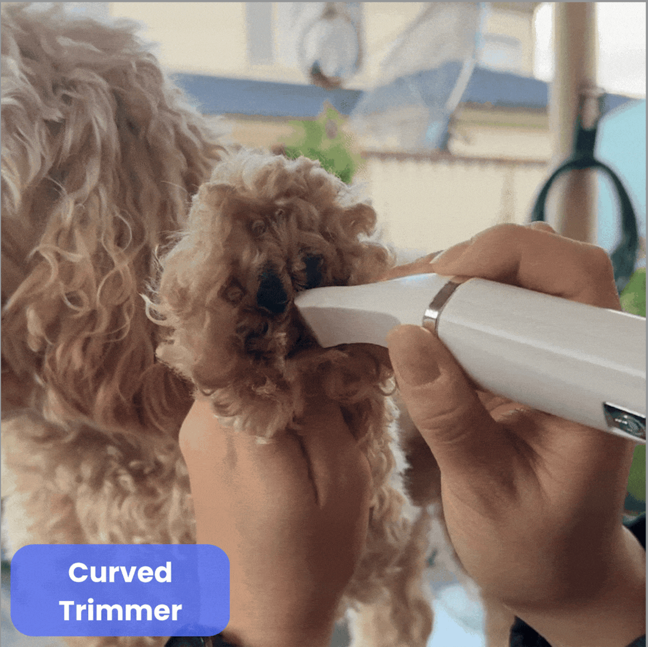 PamperPet™ GroomEase Blades