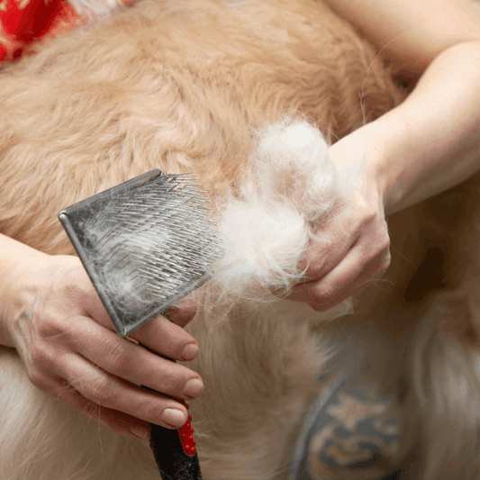 PamperPet™ PreGroom Detangler