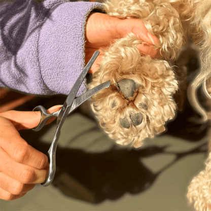 PamperPet™ SafeTrim Scissors