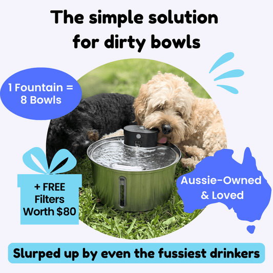 PamperPet™ FlowEase Fountain