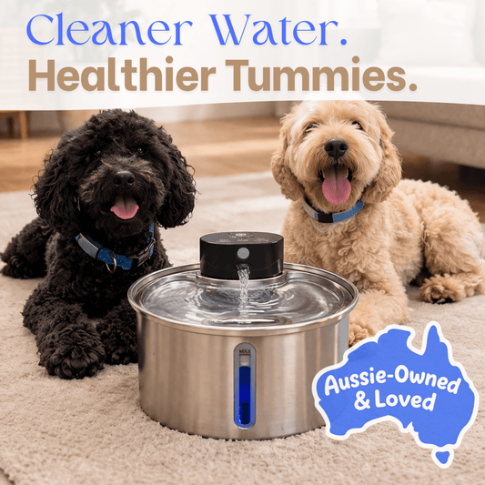 PamperPet™ FlowEase Fountain