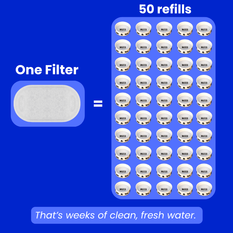 PamperPet™ FlowEase Filters