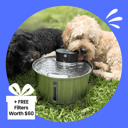 PamperPet ™ FlowEase Starter Bundle