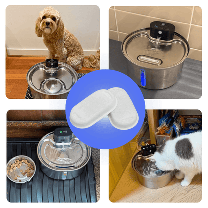 PamperPet™ FlowEase Filters
