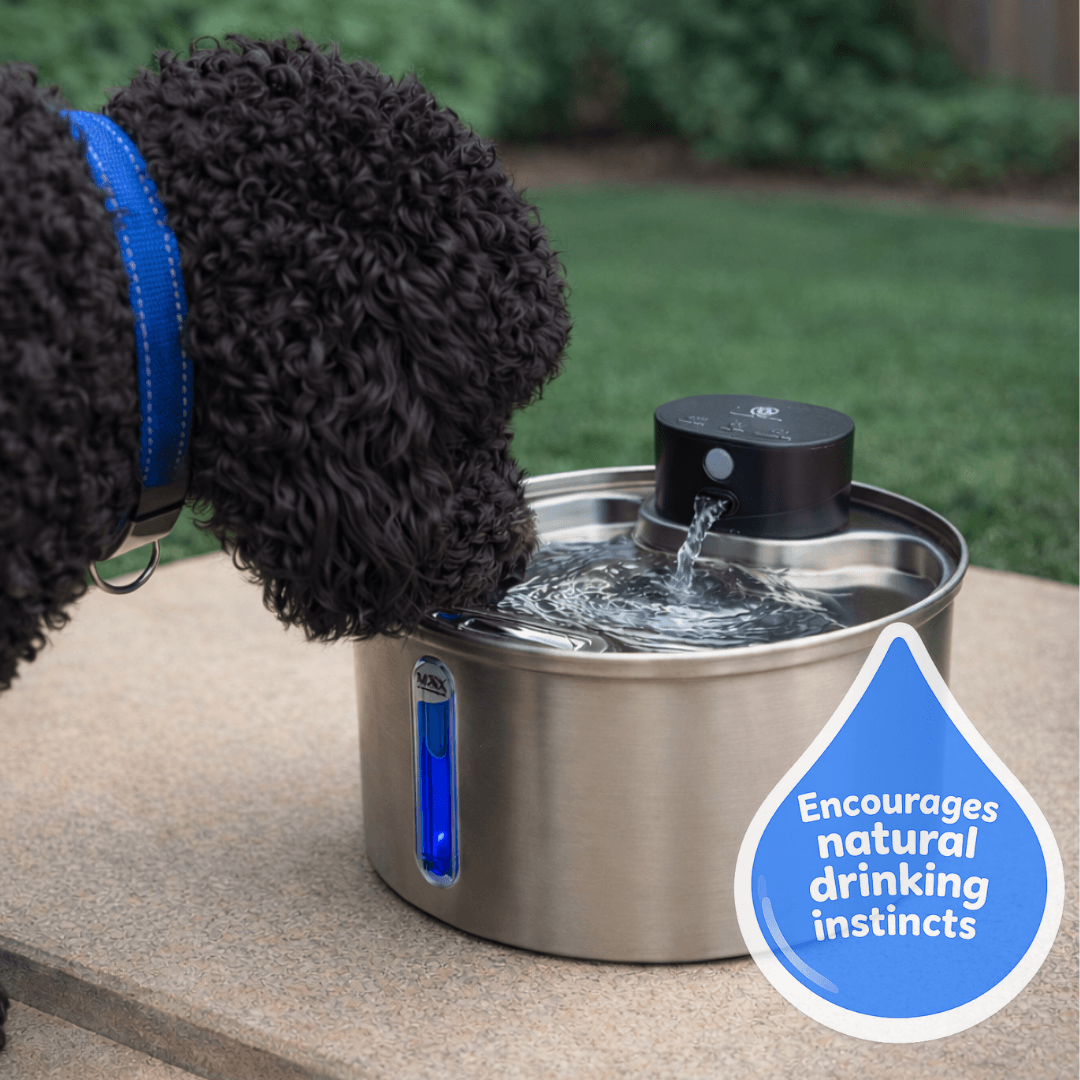 PamperPet™ FlowEase Fountain