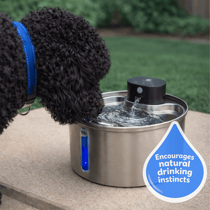 PamperPet™ FlowEase Fountain