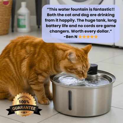 PamperPet™ FlowEase Fountain