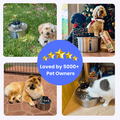 PamperPet ™ FlowEase Starter Bundle