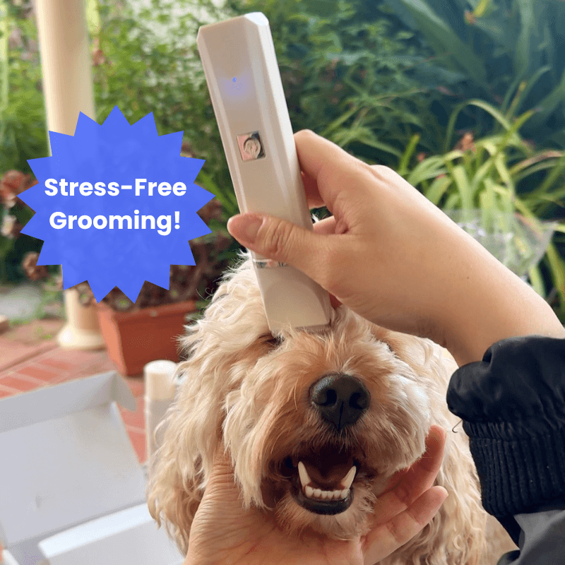 PamperPet™ Ultimate GroomEase Kit