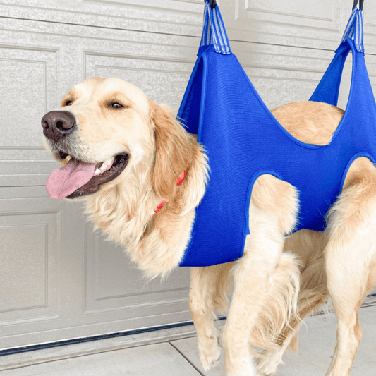 PamperPet™ Grooming Comfort Hammock