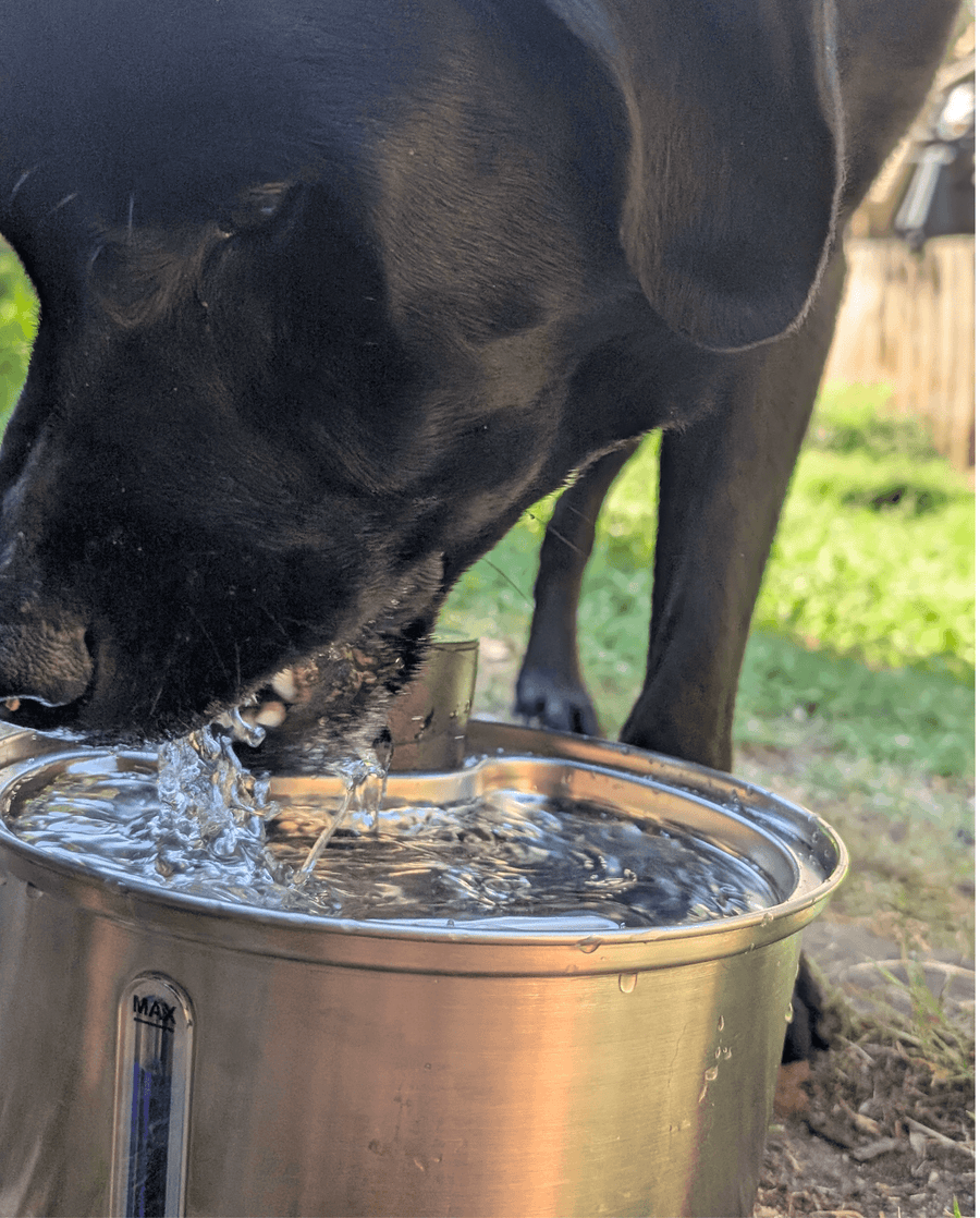 Amazed at the difference